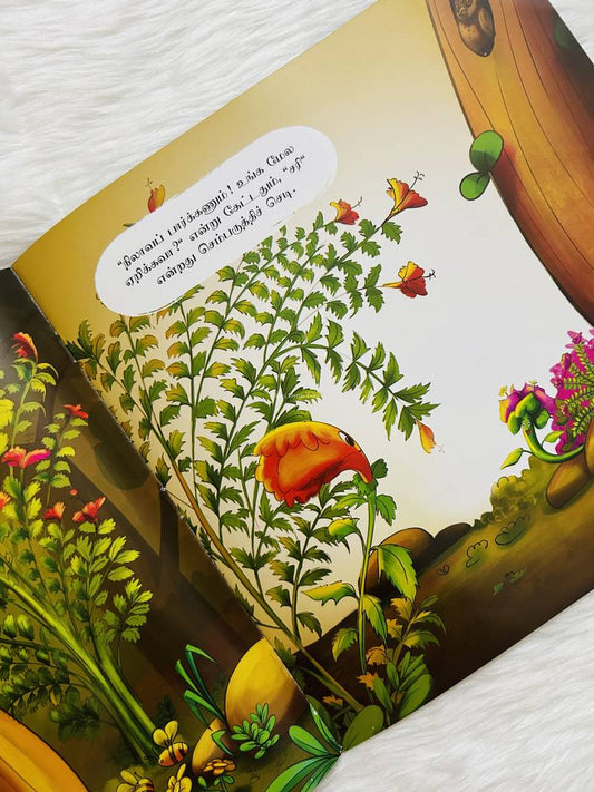 Bougainvillea Kanavu