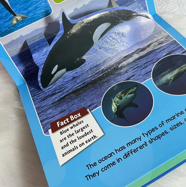 Sea World (Pop-up and Learn)