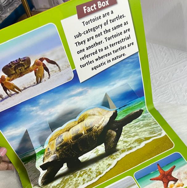 Sea World (Pop-up and Learn)